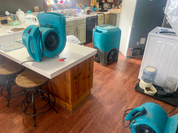 Best 24-hour water damage restoration  in Raymond, WI