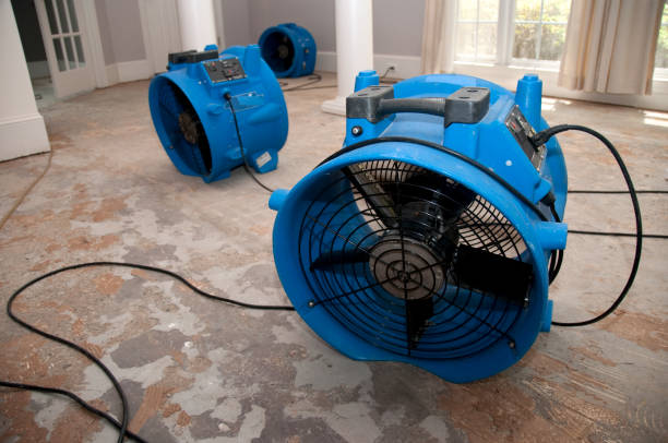 Best Professional water damage repair  in Raymond, WI