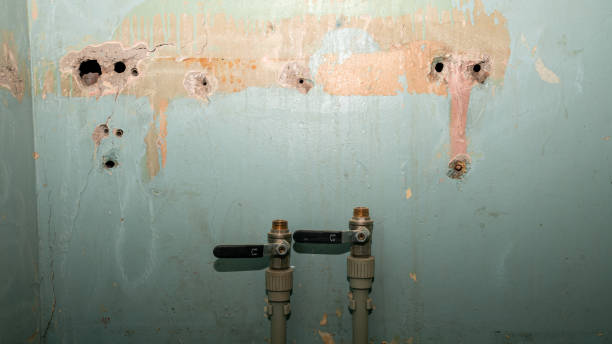 Best Flooded house restoration  in Raymond, WI