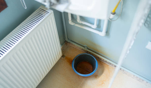 Best Fire Damage Restoration  in Raymond, WI