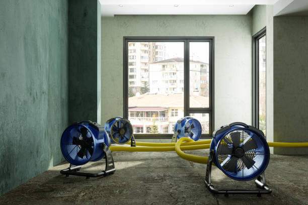 Best Water damage restoration services  in Raymond, WI